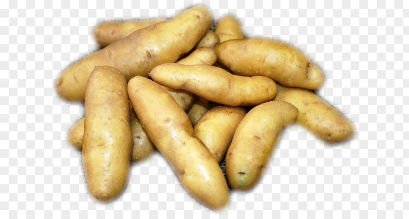 Fingerling Potato Russet Vegetable Red Potatoes PNG