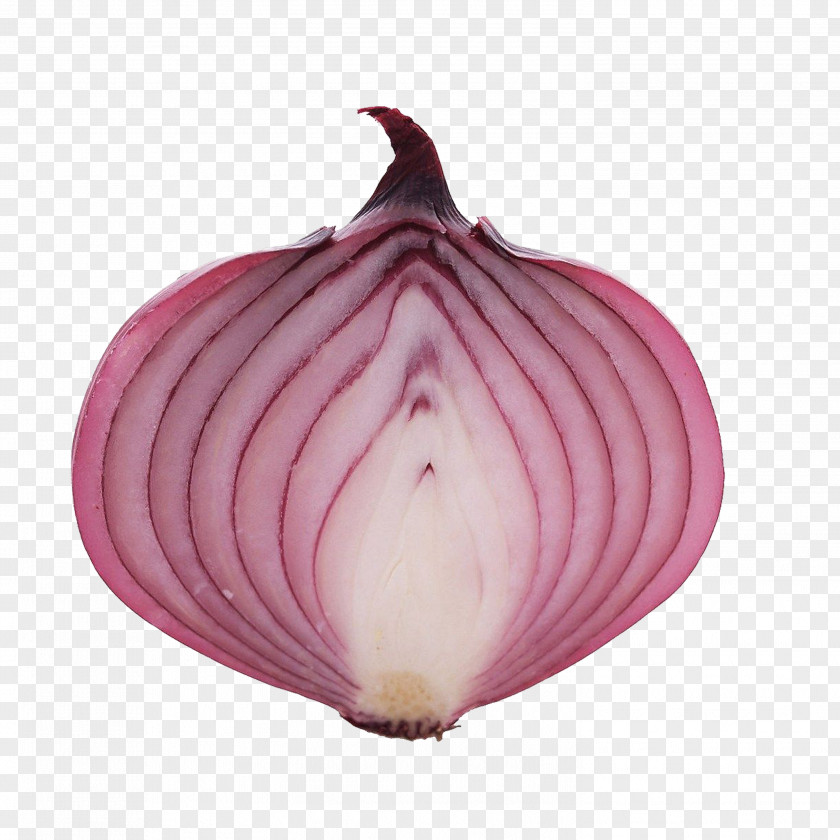 Onion China Vegetable PNG