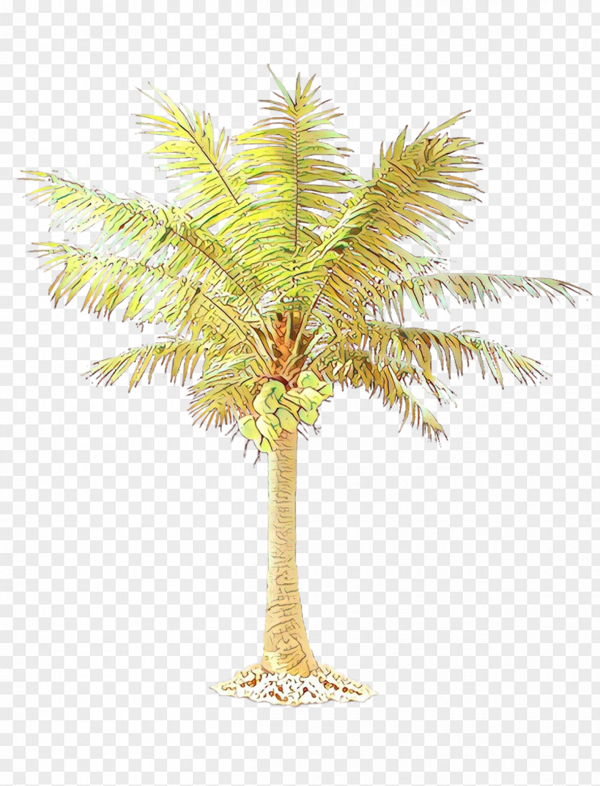 Palm Trees Clip Art California Mexican Fan PNG