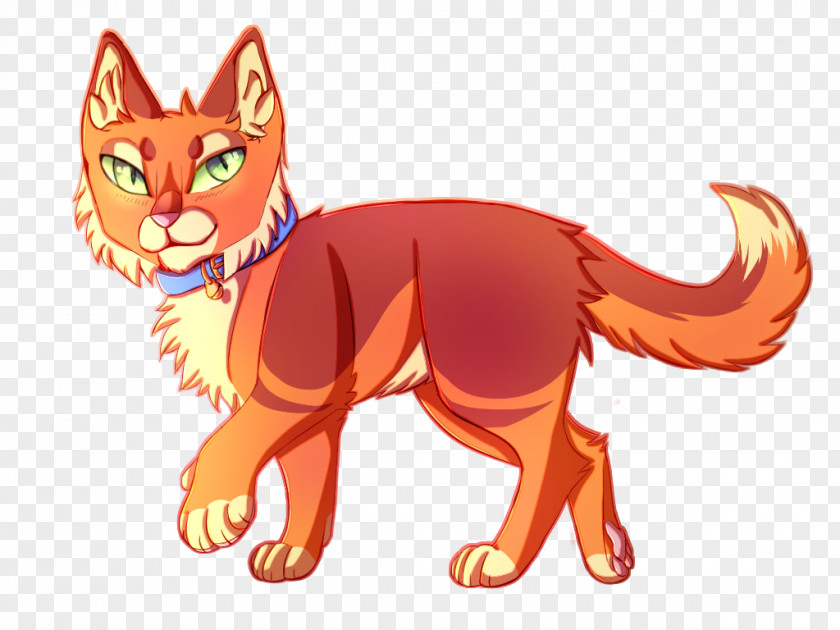 Rusty Nail Kitten Whiskers Cat Red Fox Color PNG