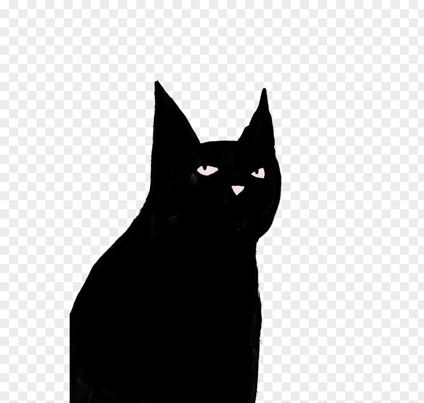Black Cat Bombay Domestic Short-haired Kitten Whiskers PNG