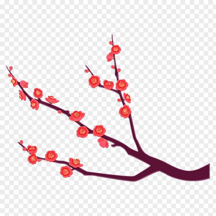 Cherry Blossom PNG