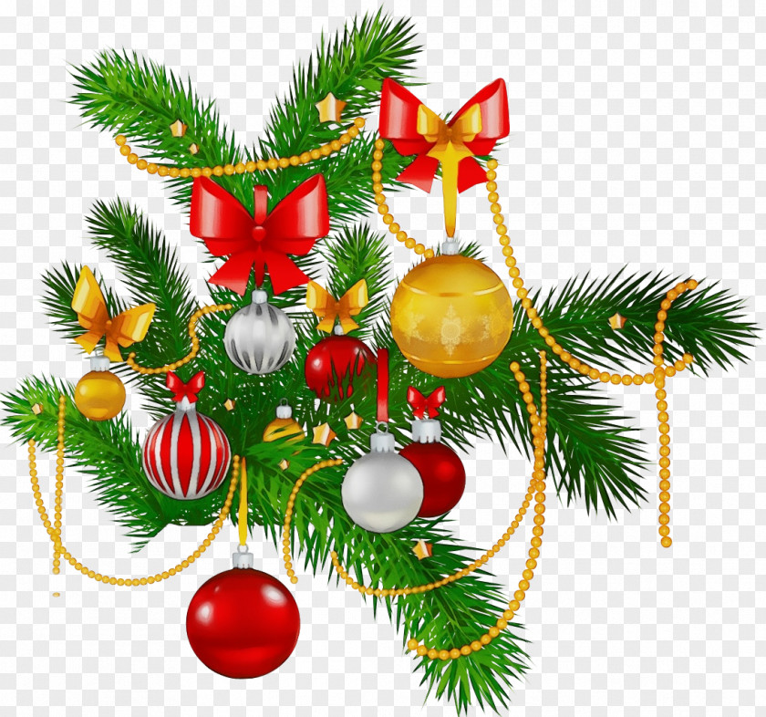 Christmas Eve Branch Ornament PNG
