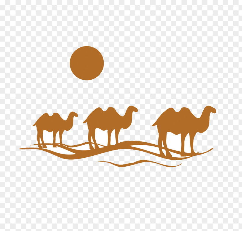 Desert Animals Package Tour Travel Agent Clip Art Website PNG