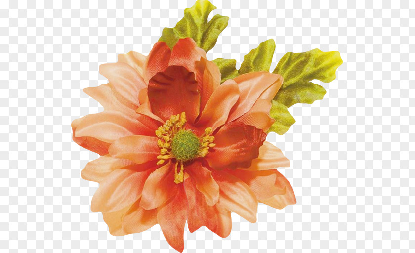 Flower Cut Flowers Petal Chrysanthemum Diyarbakır PNG