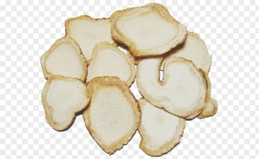 Ginseng Fruit Asian ORIGINAL-KOMBUCHA-TEEPILZ Korea Root PNG