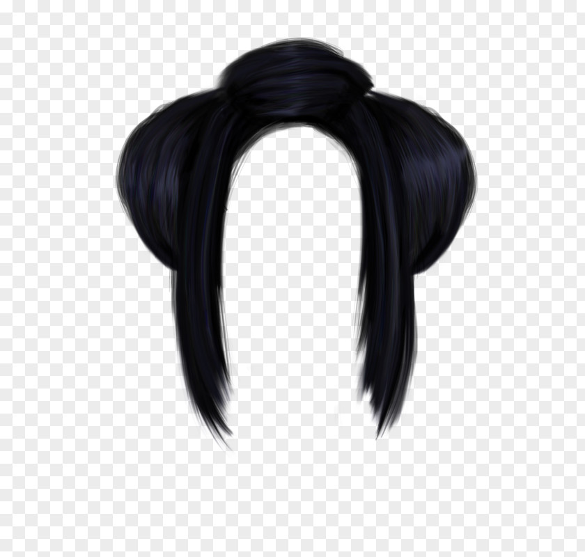 Hair Hairstyle PNG