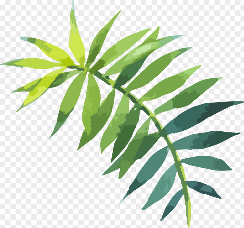 Hand Painted Watercolor Green Leaves Leaf Painting PNG