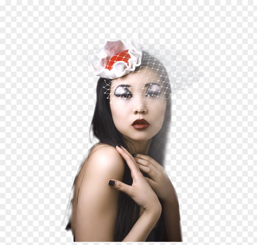 Hat Headpiece Eyebrow Photo Shoot Wig PNG