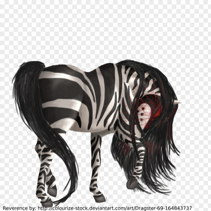 Howrse Mane Neck Zebra PNG