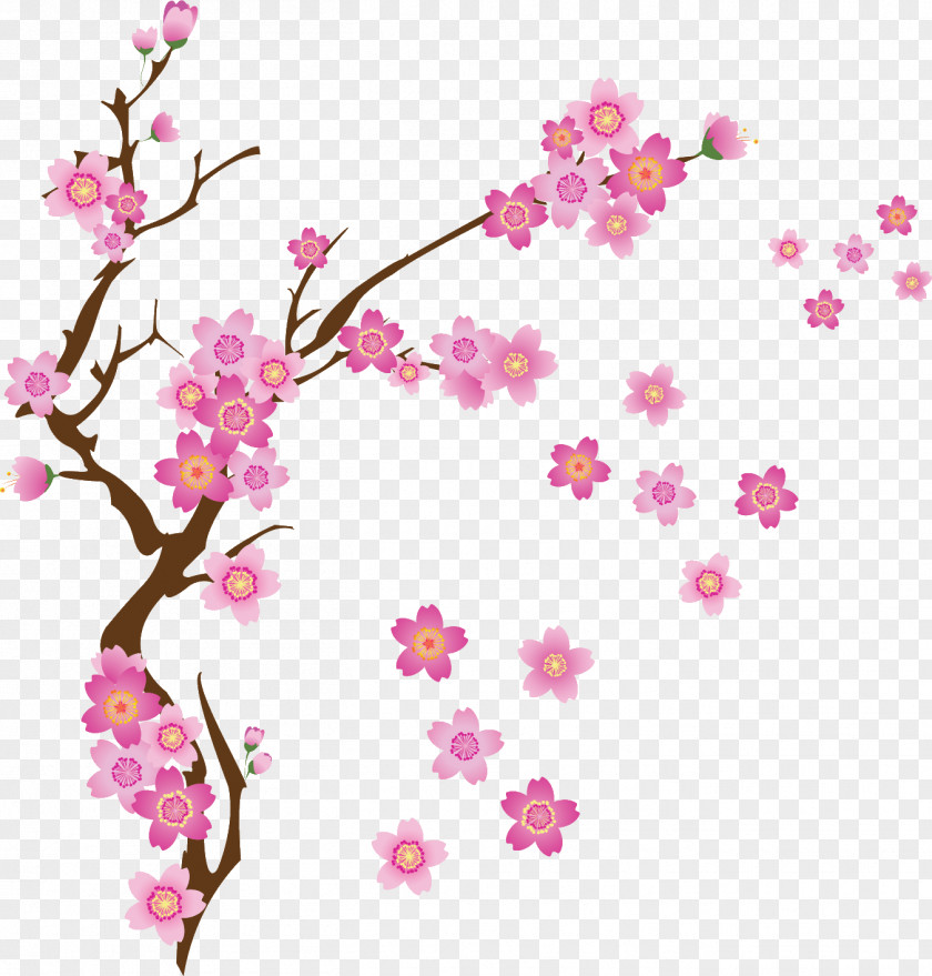 Plum Cherry Blossom Drawing PNG