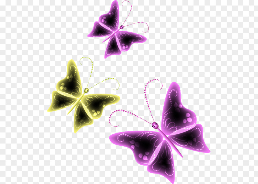 装饰 Symmetry Family Violet PNG