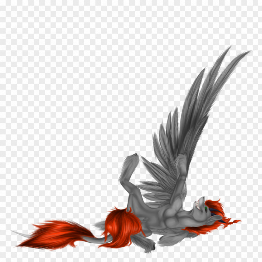 Feather Beak Wing Bird PNG