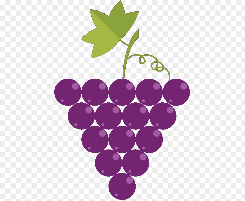 Grape Wine Asti Loazzolo Illustration PNG