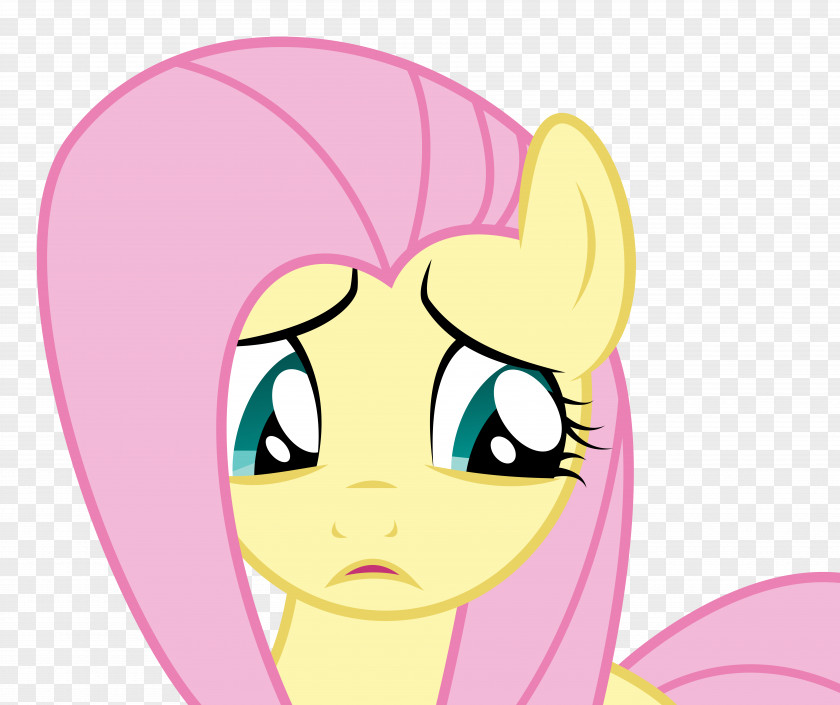 Horse Fluttershy Pony Rainbow Dash PNG