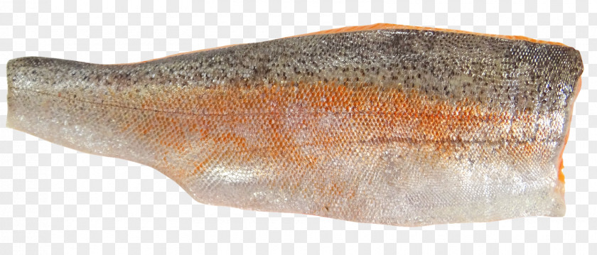 Seafood Sea Trout Fish Fillet PNG