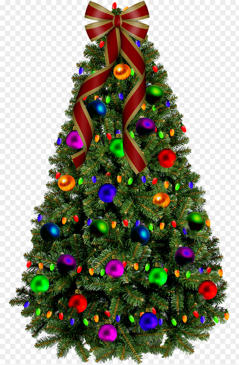 With Lights and Decor Decorated Christmas Tree PNG