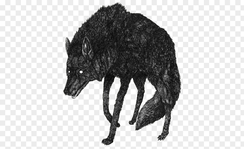 Black And White Wolf Gray Art Drawing Derek Hale PNG