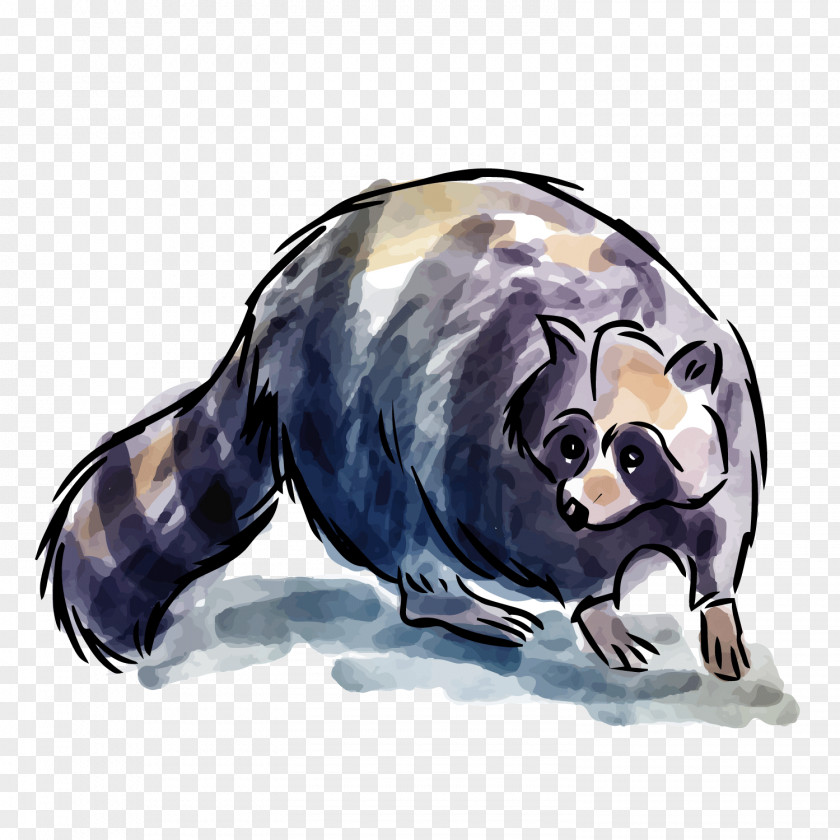 Black Brown Raccoon Animal Adobe Illustrator PNG