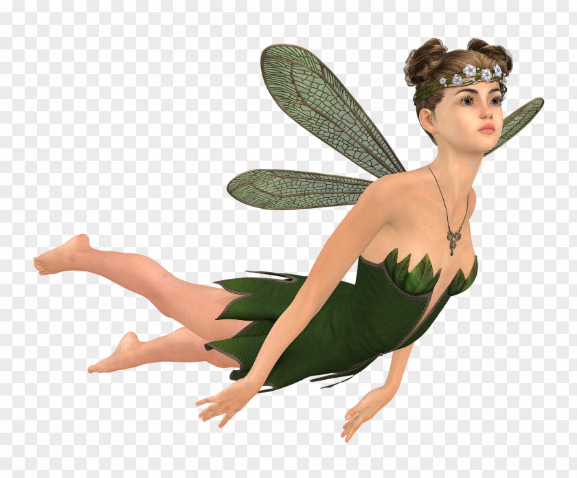 Fairy Elf Elves & Fairies Video Image PNG