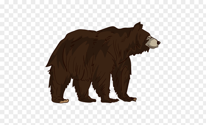 Grizzle Vector Grizzly Bear Image Chroma Key Desktop Wallpaper PNG