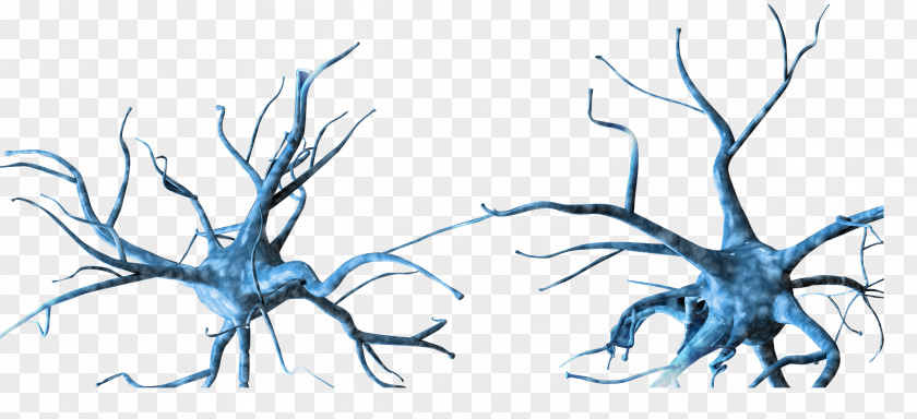 Holographic Neuron Nervous System PNG