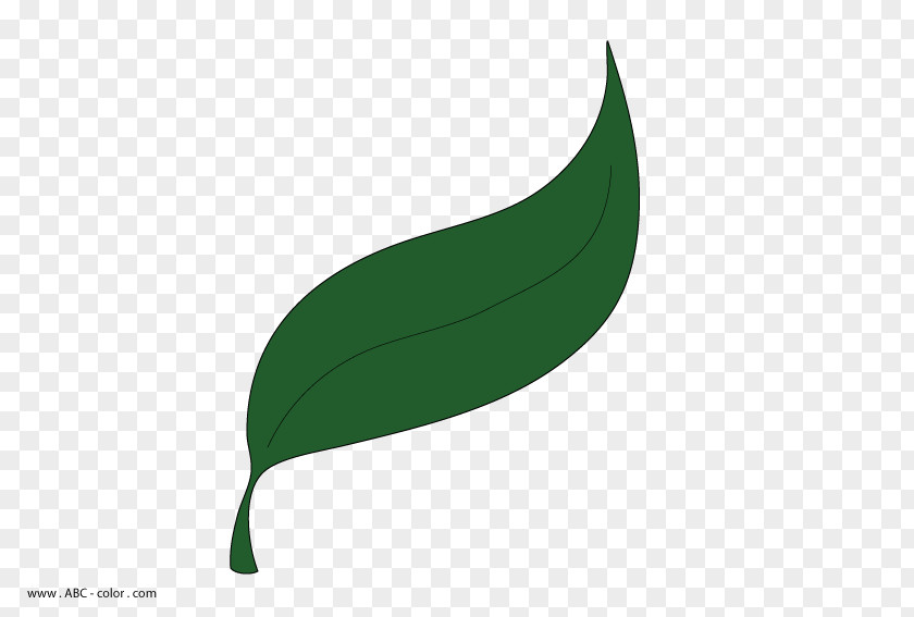Leaf Plant Stem Font PNG
