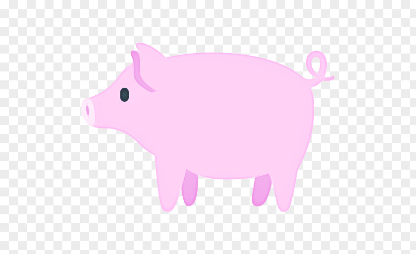 Piggy Bank Boar PNG