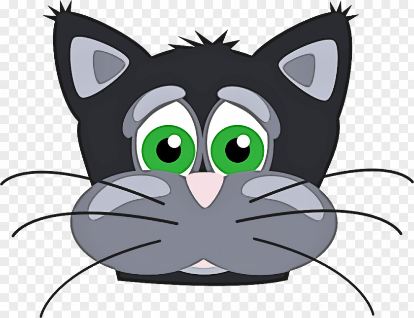 Tail Mouse Kitten Cartoon PNG