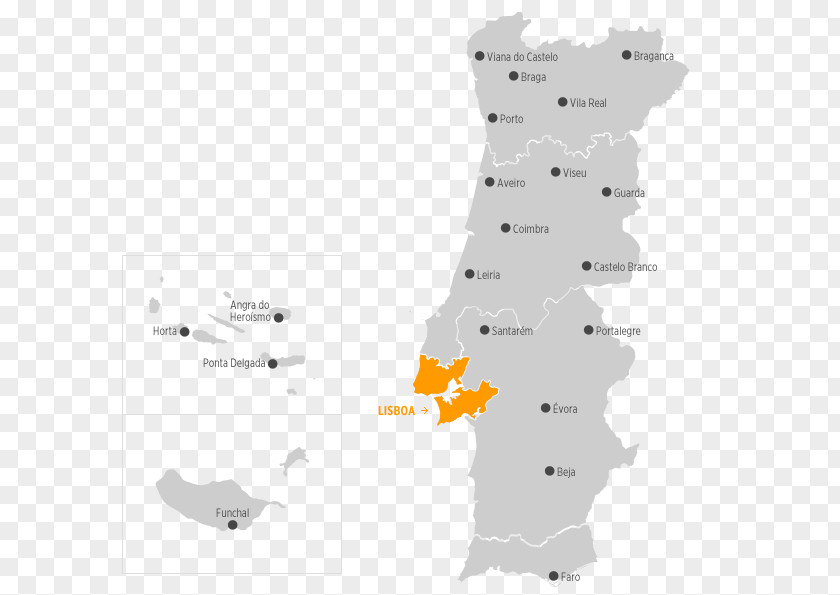 Vigilância E Prevenção Electrónica, Lda. OleotecOleos Tecnicos, Lda.World Map Azores Madeira Algarve Grupo 8 PNG
