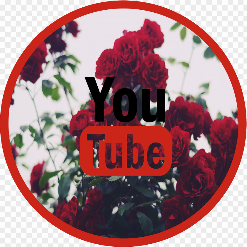 Youtube YouTube Sticker Sign Garden Roses Brand PNG