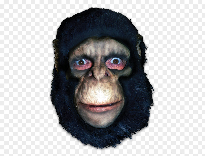 Apes And Monkeys Common Chimpanzee Gorilla Mask Monkey Primate PNG