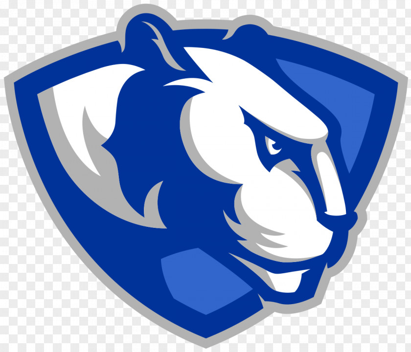 Eastern Illinois University Panthers Men's Basketball Northern Of At Chicago Football PNG