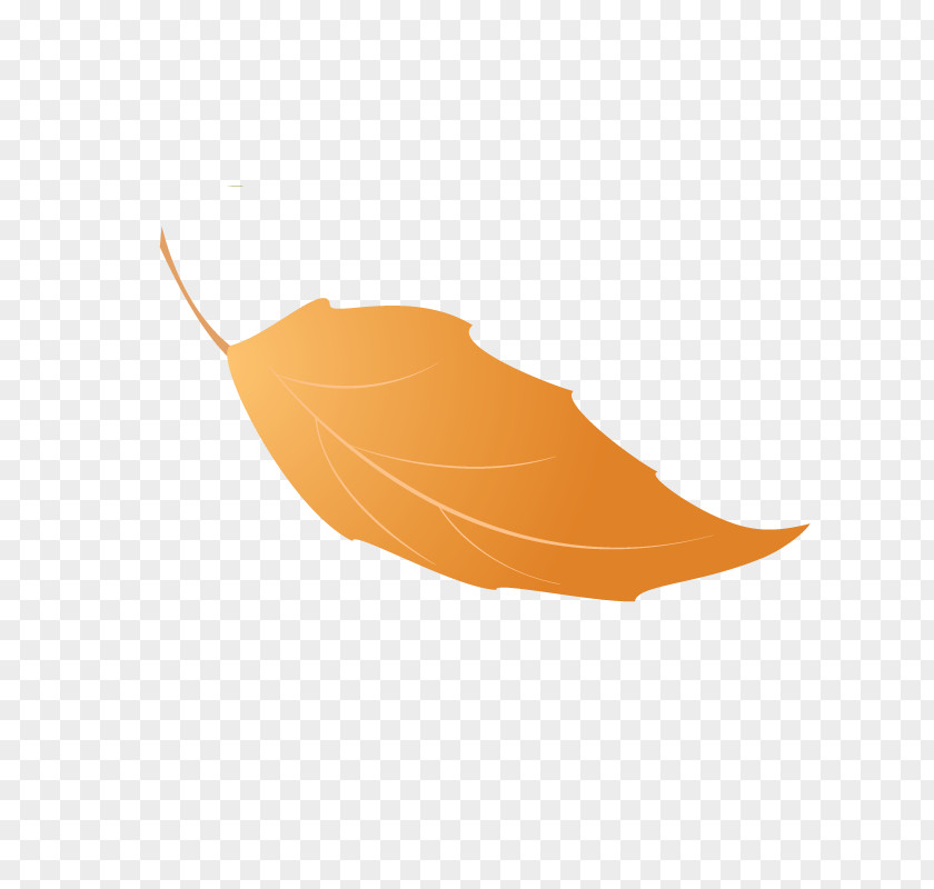 Leaf Autumn Leaves JPEG File Format PNG