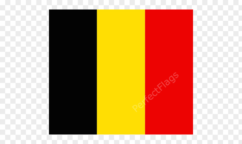Pirate Skull Logo Flag Of Belgium National The United States PNG
