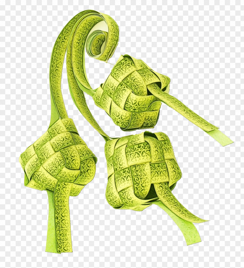 Plant Knot PNG