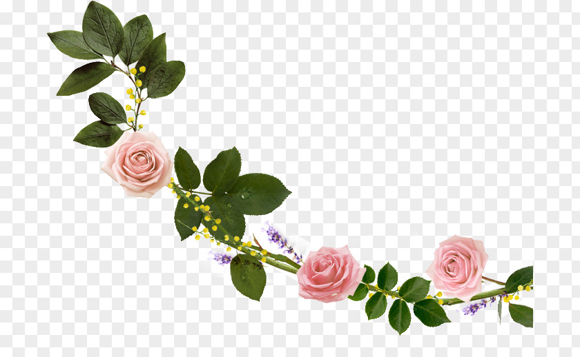 Floral Banner Cut Flowers Garden Roses Design Floristry PNG