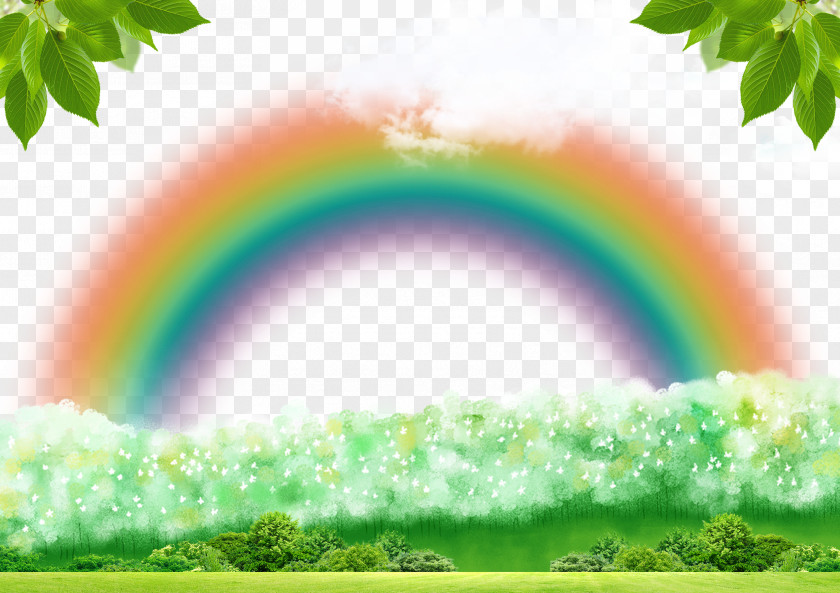 Rainbow Green Forest Decoration Background PNG