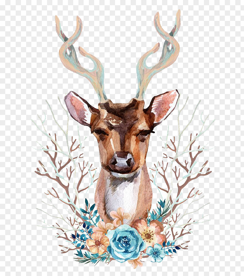 Watercolor Deer Reindeer Red Illustration PNG