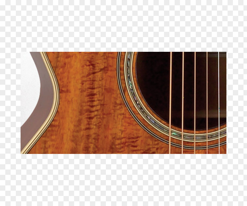 Acoustic Guitar Takamine Guitars Acoustic-electric Classical PNG