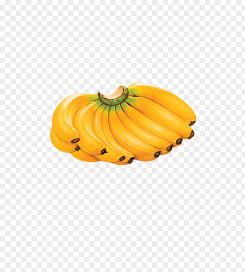 Banana Fruit Stock Photography Clip Art PNG