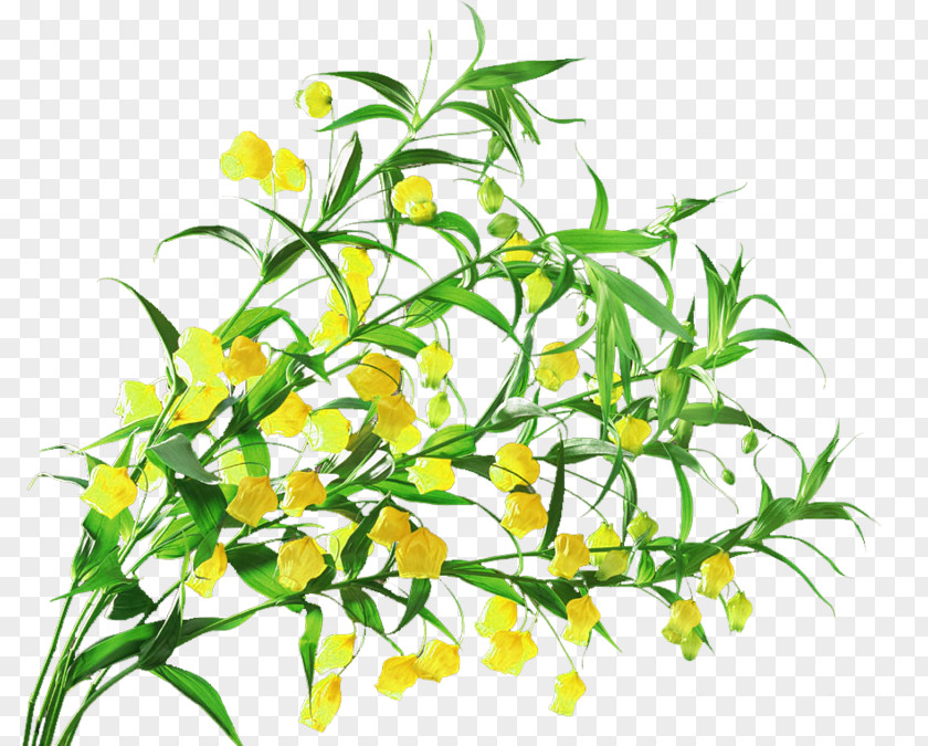 Bouquet Of Lily The Valley Flower Floral Design PNG