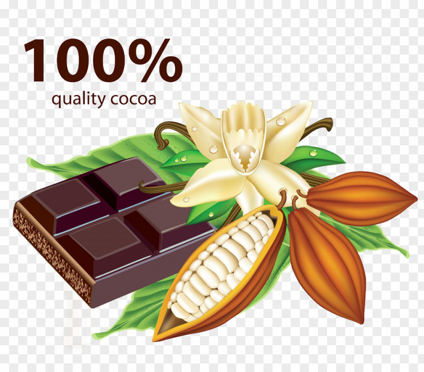Chocolate Bar Cocoa Bean Vanilla Ice Cream PNG