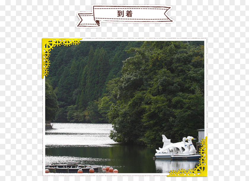 Happy Fish Ijira Lake Hypomesus Nipponensis Boat Waterway PNG