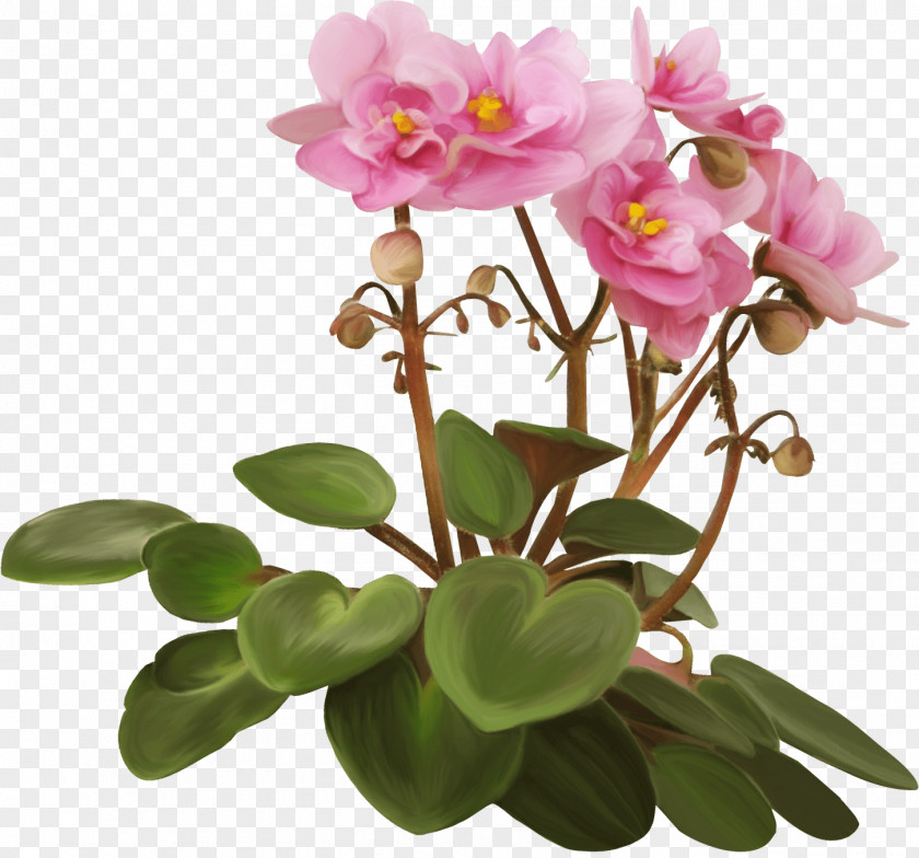 Kartikeya Flowerpot Violet Houseplant PNG