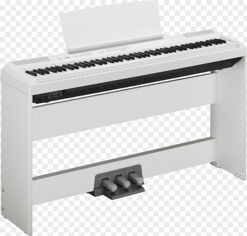 Piano Yamaha P-115 Digital Corporation Keyboard PNG