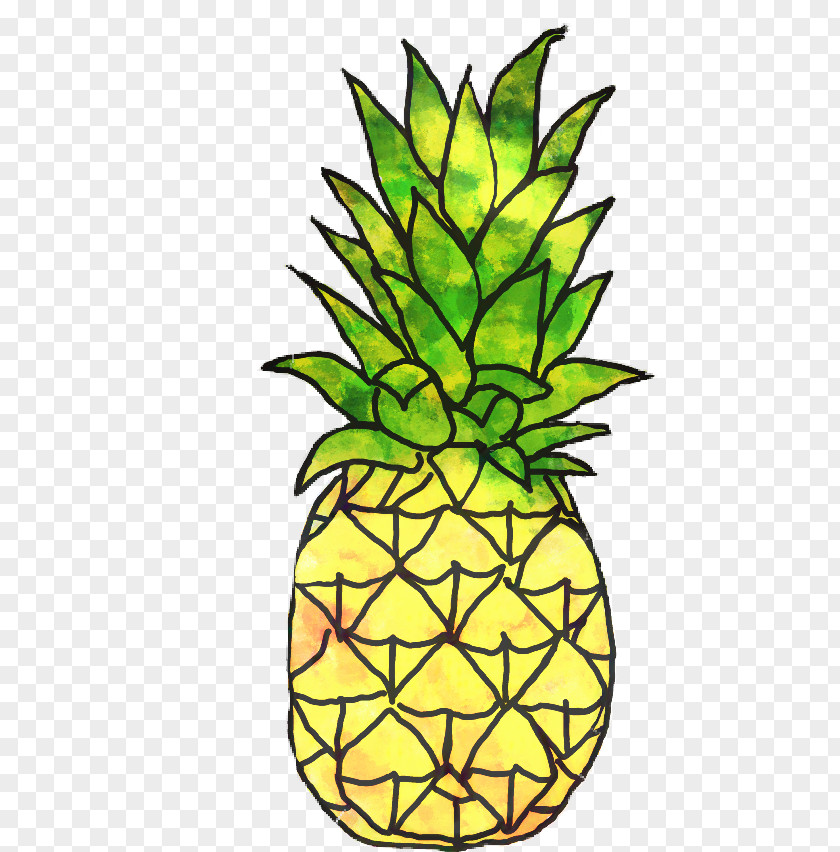 Pineapple Clip Art Plant Stem Flowerpot Leaf PNG