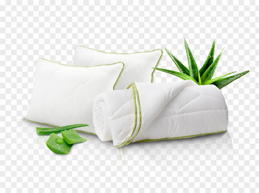 Plant Aloe Vera Pillow Search For Extraterrestrial Intelligence PNG