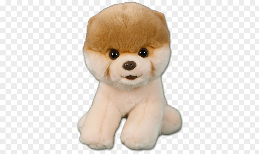 Boo Dog Pic Pomeranian Stuffed Toy PNG