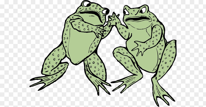 Cartoon Toads Frog And Toad Amphibian Clip Art PNG